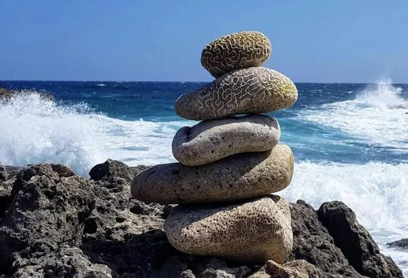 اتاق خانوادگی, First Day Hotel On Aruba!