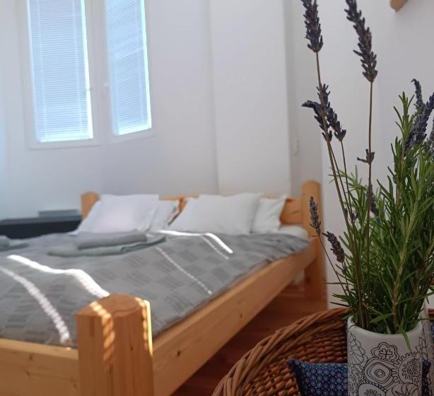 غرفة ديلوكس, Toronyszoba