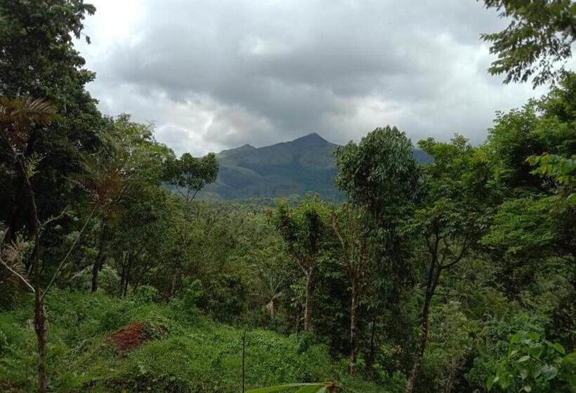 家庭山景房, Bob Vythri Danish Resorts