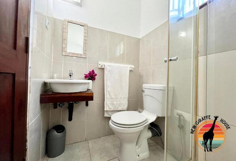Номер Стандарт, New Giraffe House