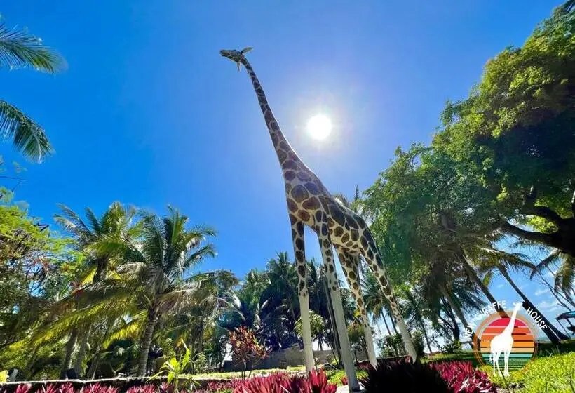 Standard Neljän Hengen Huone Merinäkymä, New Giraffe House