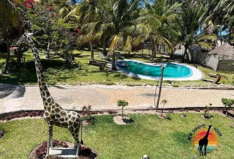 Standard Neljän Hengen Huone, New Giraffe House