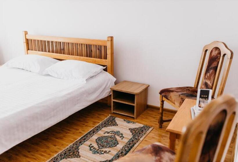 标准间, Pensiunea Ana