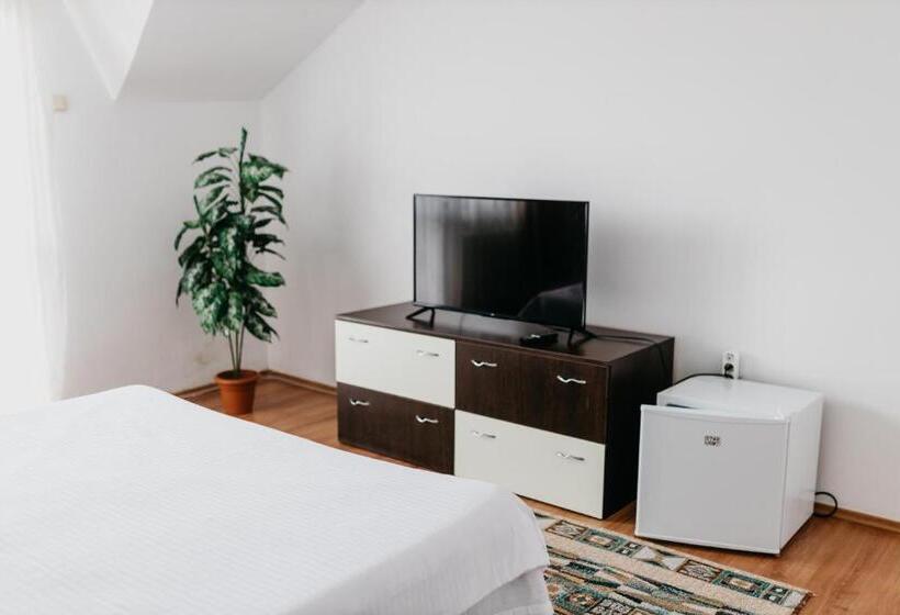 标准间, Pensiunea Ana