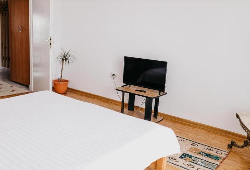 标准间, Pensiunea Ana