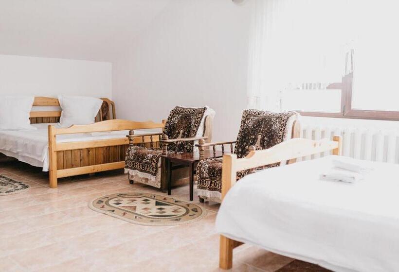 四人标准间, Pensiunea Ana