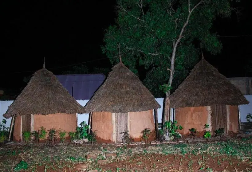 اتاق عادی, Zanzigo