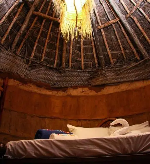 اتاق عادی, Zanzigo