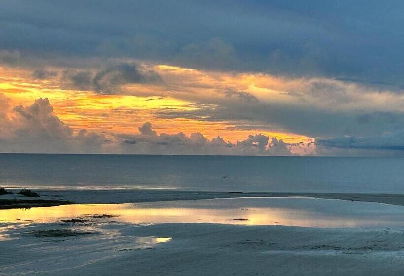 דירת שני חדרים, Always Summer On A White Sandy Beach