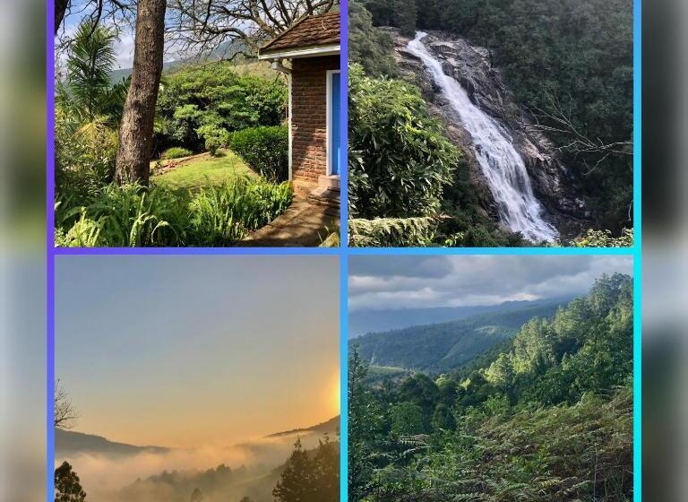 标准间带山景, Bezalel S Rest