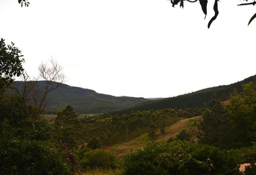 标准间带山景, Bezalel S Rest