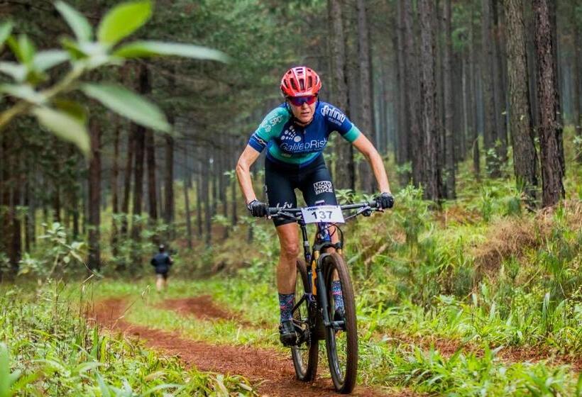 标准间带山景, Bezalel S Rest