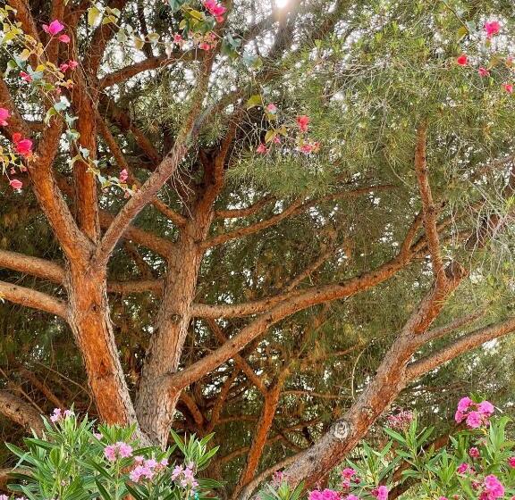 Suite with Terrace, A Mare Corsica I Seaside Small Resort