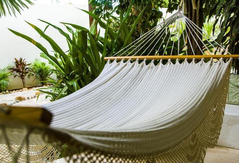 带1个卧室的豪华公寓, Casa De Los Angeles Boutique