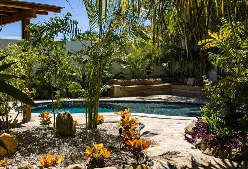 带1个卧室的公寓, Casa De Los Angeles Boutique