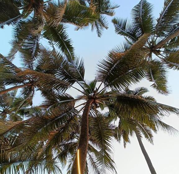 带2个卧室的别墅, Coconut Nest