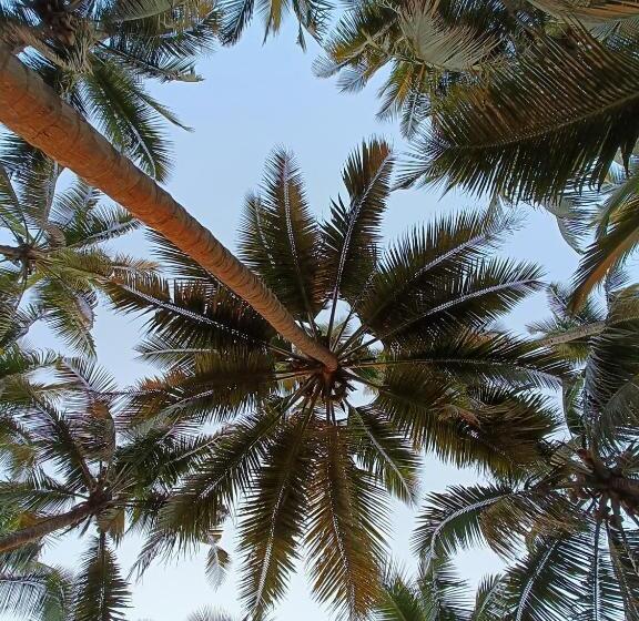 וילה בת 2 חדרי שינה, Coconut Nest