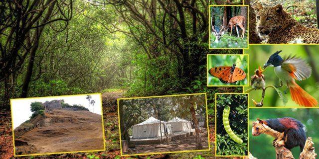 וילה בת 2 חדרי שינה, Coconut Nest