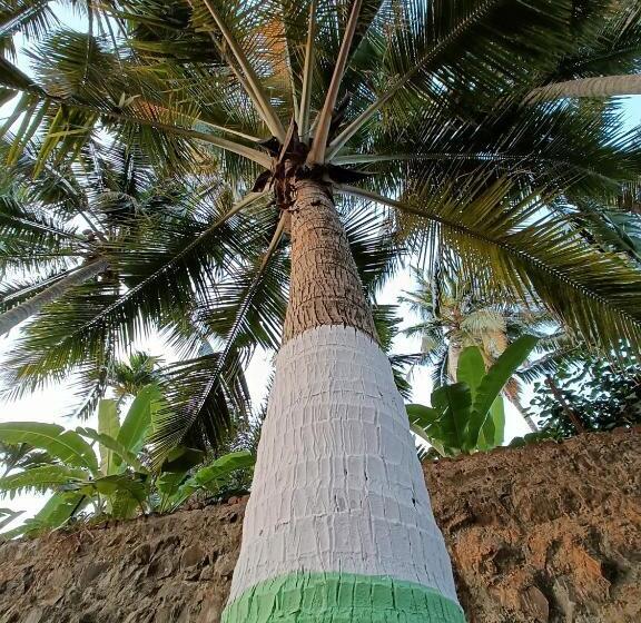 וילה בת 2 חדרי שינה, Coconut Nest