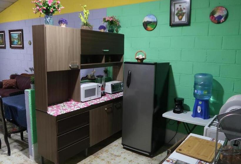 اتاق استاندارد, Palacios Hub 1
