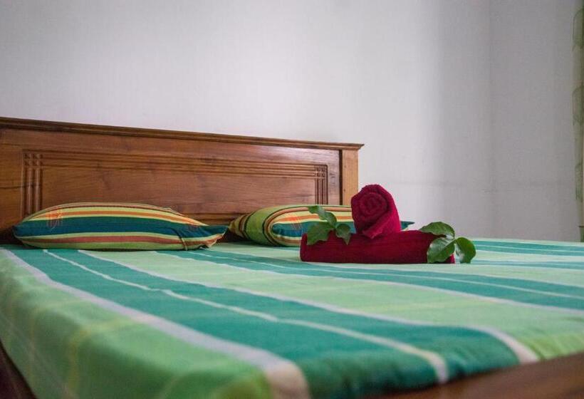 غرفة عائلية, Sun Guest