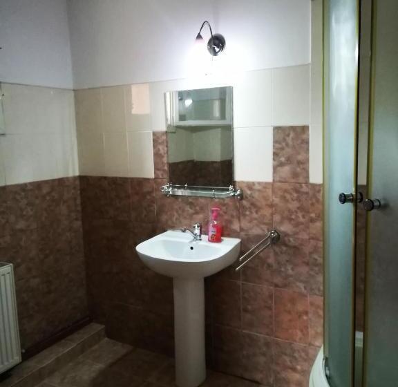 Номер Стандарт, Pensiunea Elenuca