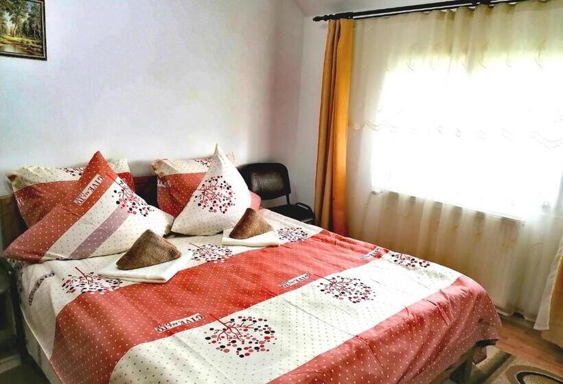 Номер Стандарт, Pensiunea Elenuca