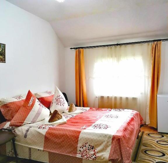 Номер Стандарт, Pensiunea Elenuca