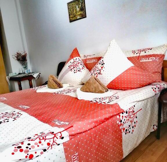 Номер Стандарт, Pensiunea Elenuca