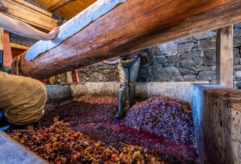 בית, 3 חדרי שינה, Casas Da Luz By Madeira Sun Travel