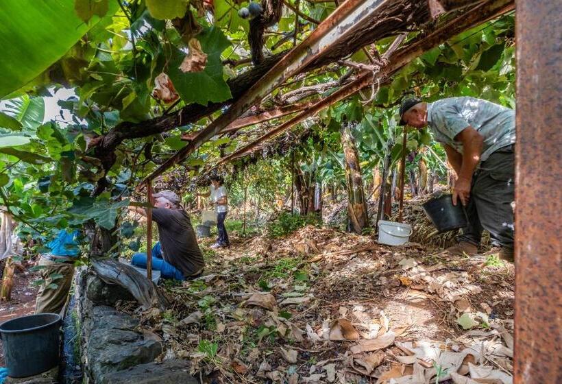 בית, 3 חדרי שינה, Casas Da Luz By Madeira Sun Travel