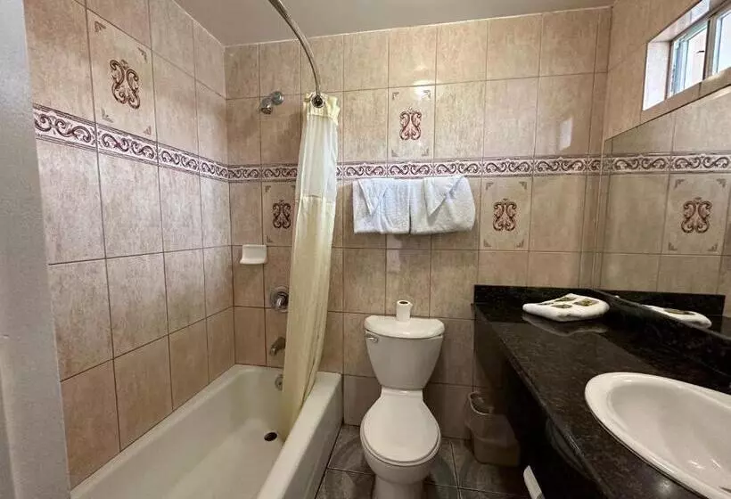 اتاق لوکس با تخت بزرگ, Flamingo Motel Oxnard