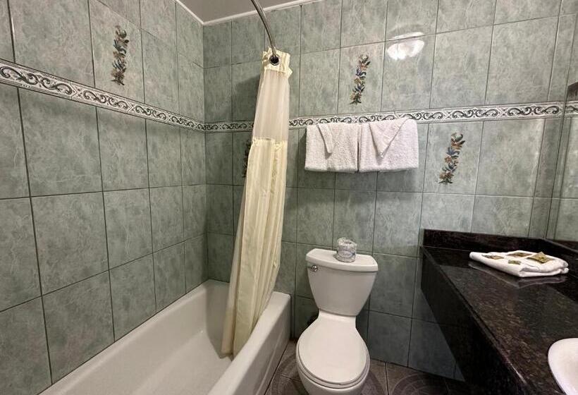 디럭스 룸, Flamingo Motel Oxnard