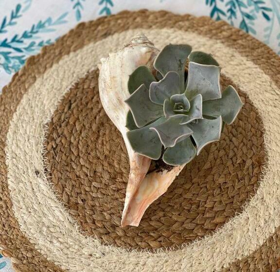 标准间, Atlantic House Bed & Breakfast