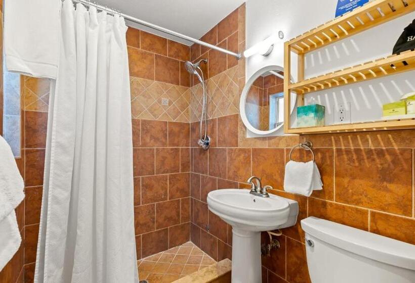 带大床的标准工作室, Inn On The Beach