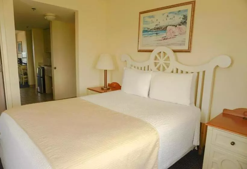 سوییت خانوادگی, Oceanview Lodge   Saint Augustine