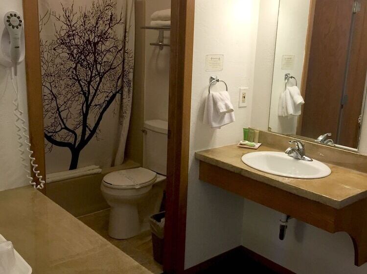 غرفة قياسية, Open Hearth Lodge