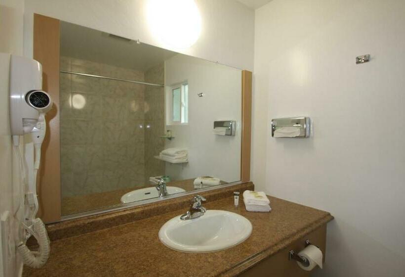 غرفة قياسية, Redwood Inn