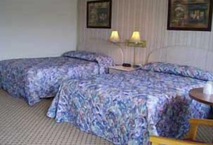 스탠다드 룸, Redwood Inn