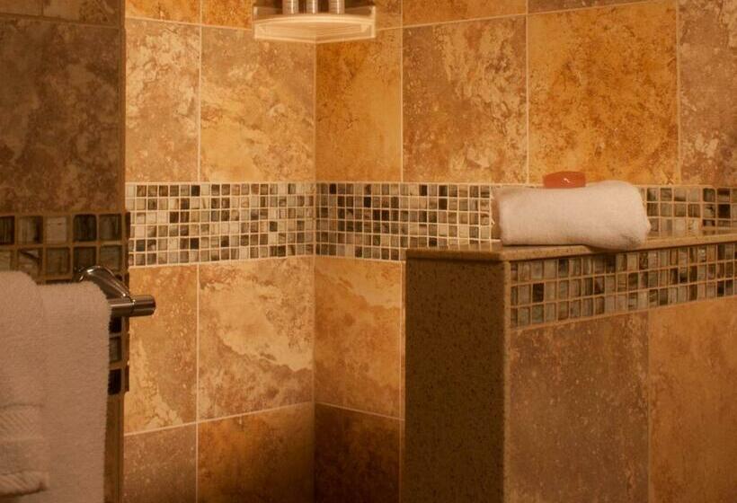 Camera Deluxe, Showers Inn