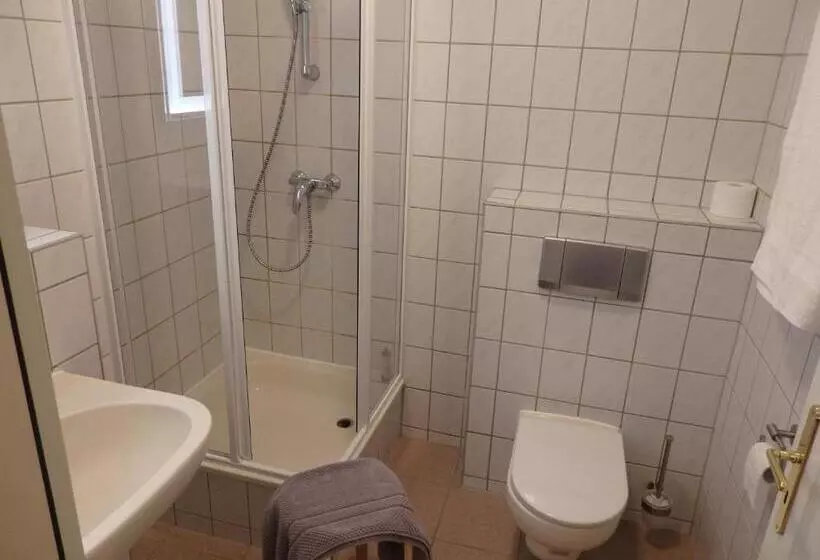 デラックスルーム, Zur Saale
