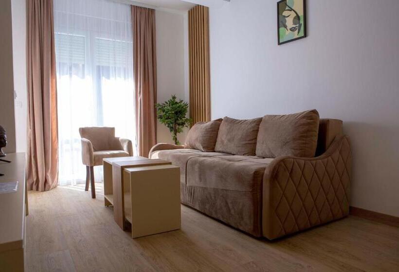 آپارتمان 1 خوابه با تراس, Apart Hotel Gondola Kolasin