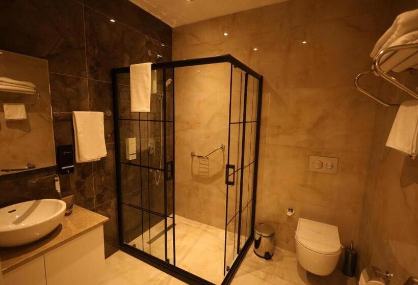 带大床的标准间, Green Roof Hotel & Spa