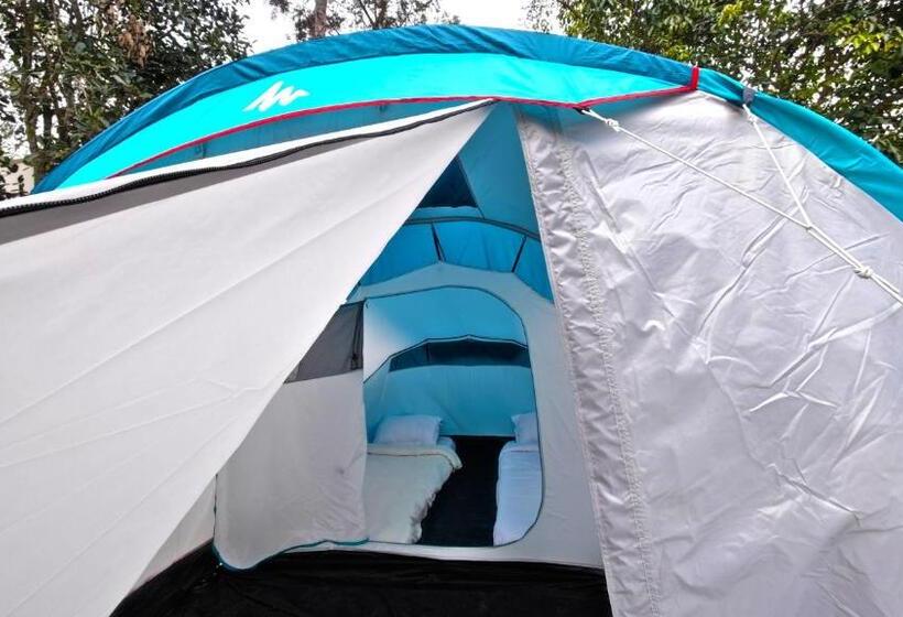 كوخ قياسي, Sun Resorts And Adventures