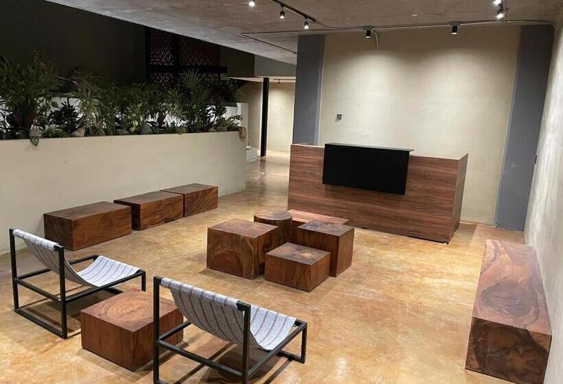 Studio Deluxe, Maramara More To Live