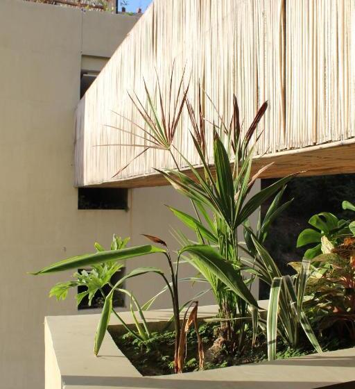 Люкс, Maramara More To Live