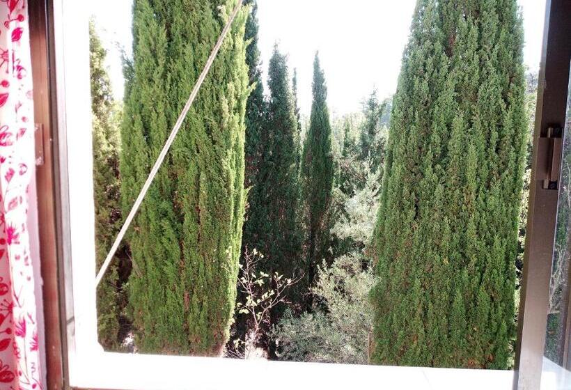 غرفة قياسية مطلّة علي الحديقة, Pension Buena Vista