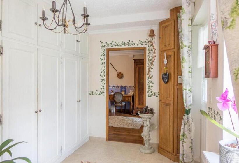 スタンダードルーム, Les Anges Rêveurs