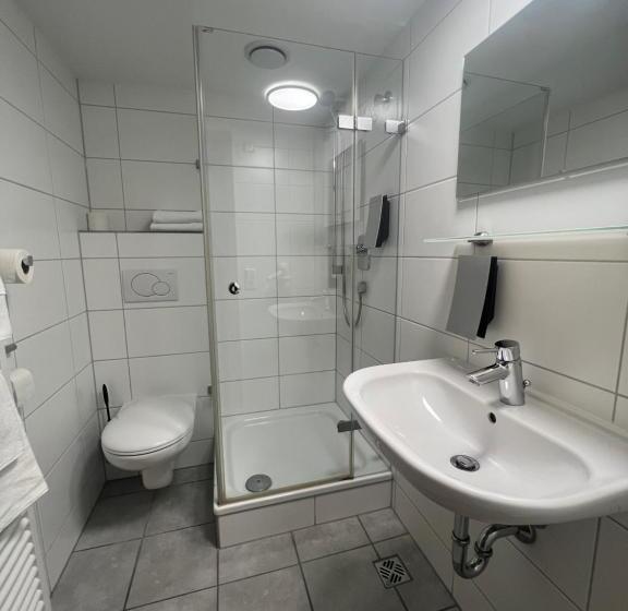 غرفة قياسية, Restaurant Kreuz Spaichingen