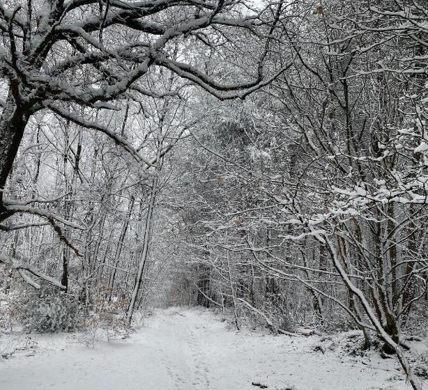 חדר סטנדרט, The Old Postie Bed & Breakfast